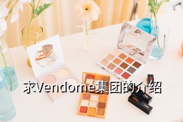 求Vendome集团的介绍