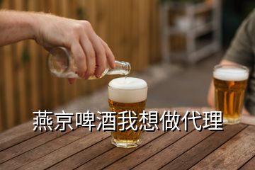 燕京啤酒我想做代理
