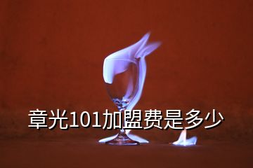 章光101加盟费是多少