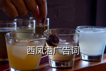 西凤酒广告词