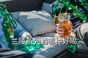 兰陵系列酒哪种好喝