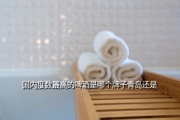 国内度数最高的啤酒是哪个牌子青岛还是