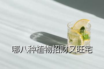 哪八种植物招财又旺宅