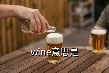 wine意思是