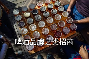 啤酒品牌之类招商