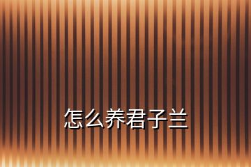 怎么养君子兰