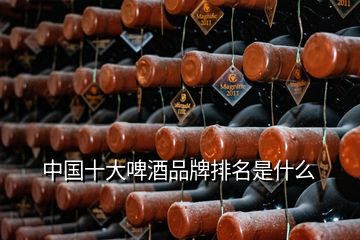 中国十大啤酒品牌排名是什么