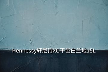 Hennessy轩尼诗XO干邑白兰地15L