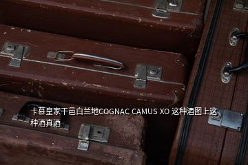 卡慕皇家干邑白兰地COGNAC CAMUS XO 这种酒图上这种酒真酒