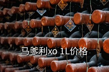 马爹利xo 1L价格