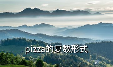 pizza的复数形式