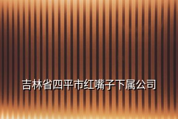 吉林省四平市红嘴子下属公司