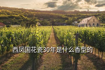 西凤国花瓷30年是什么香型的