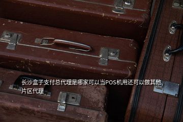 长沙盒子支付总代理是哪家可以当POS机用还可以做其他片区代理