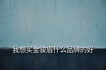 我想买金骏眉什么品牌的好