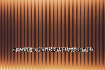 云南省昭通市威信县麟凤镇下辖村委会有哪些