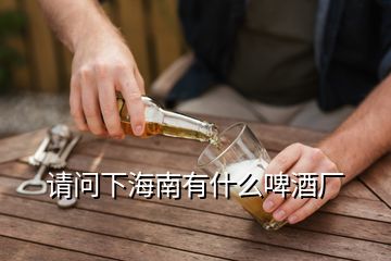 请问下海南有什么啤酒厂