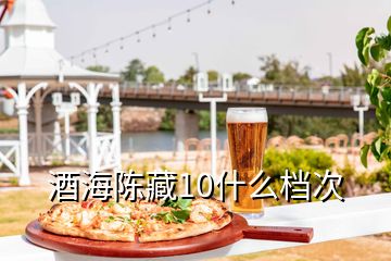 酒海陈藏10什么档次