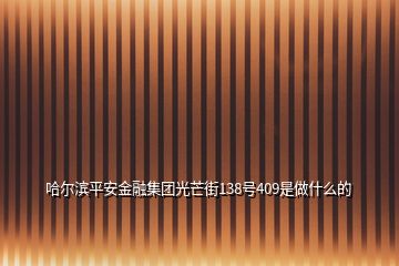 哈尔滨平安金融集团光芒街138号409是做什么的