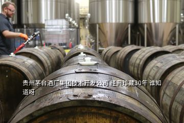 贵州茅台酒厂集团技术开发公司 经典珍藏30年 谁知道呀