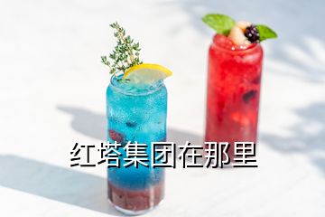 红塔集团在那里