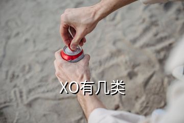 XO有几类