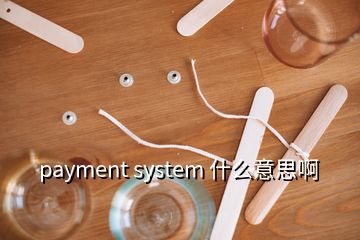 payment system 什么意思啊