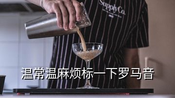 温常温麻烦标一下罗马音