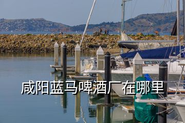 咸阳蓝马啤酒厂在哪里