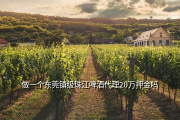 做一个东莞镇级珠江啤酒代理20万押金吗