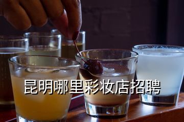 昆明哪里彩妆店招聘