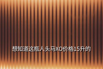 想知道这瓶人头马XO价格15升的