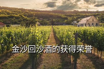 金沙回沙酒的获得荣誉