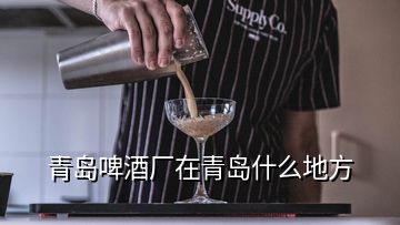 青岛啤酒厂在青岛什么地方