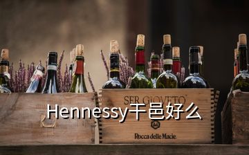 Hennessy干邑好么