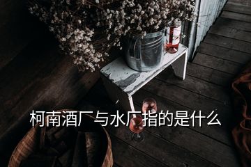 柯南酒厂与水厂指的是什么