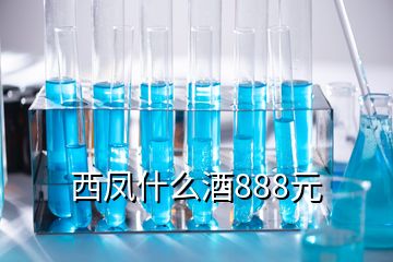 西凤什么酒888元