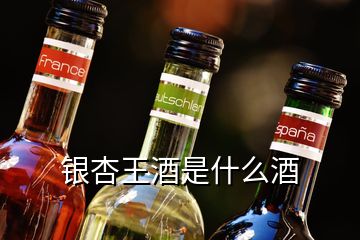 银杏王酒是什么酒