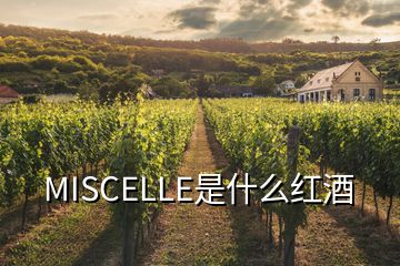 MISCELLE是什么红酒