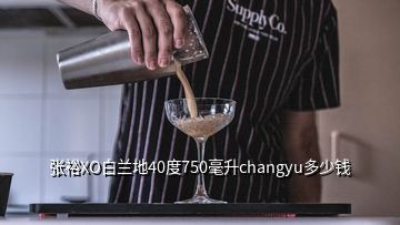 张裕XO白兰地40度750毫升changyu多少钱