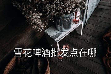 雪花啤酒批发点在哪