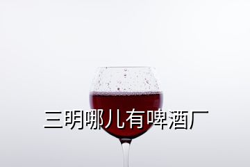 三明哪儿有啤酒厂