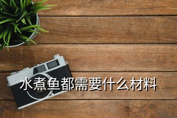 水煮鱼都需要什么材料