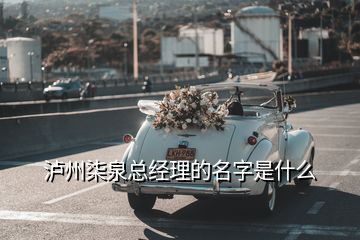 泸州柒泉总经理的名字是什么