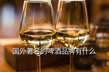 国外著名的啤酒品牌有什么