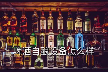 啤酒自酿设备怎么样