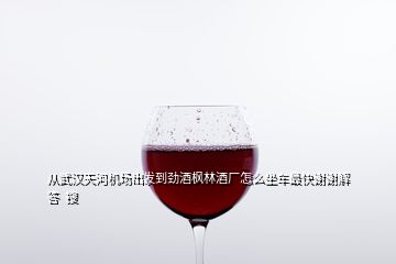 从武汉天河机场出发到劲酒枫林酒厂怎么坐车最快谢谢解答  搜