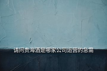 请问贵海酒是哪家公司运营的急需