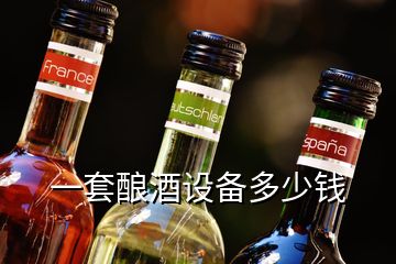 一套酿酒设备多少钱