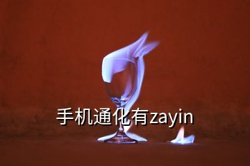 手机通化有zayin